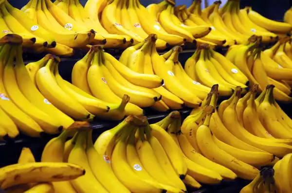 How Bananas Improve Gut Health, Aid in Weight Loss and Improve Mood